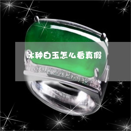 冰种白玉怎么看真假/2023033049591