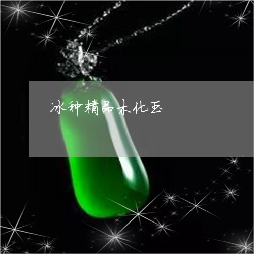 冰种精品木化玉/2023062636059