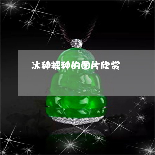 冰种糯种的图片欣赏/2023121953625