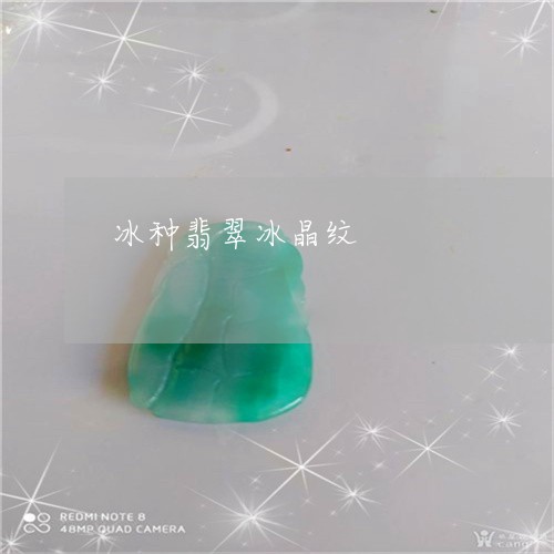 冰种翡翠冰晶纹/2023111528172