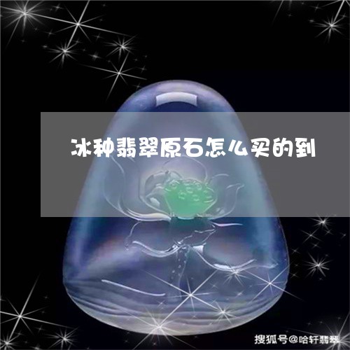 冰种翡翠原石怎么买的到/2023071383827