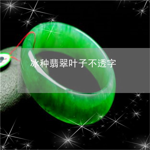 冰种翡翠叶子不透字/2023033093704