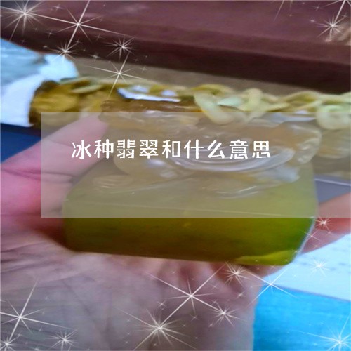 冰种翡翠和什么意思/2023121995058