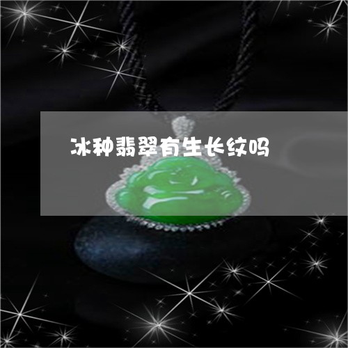 冰种翡翠有生长纹吗/2023121918360