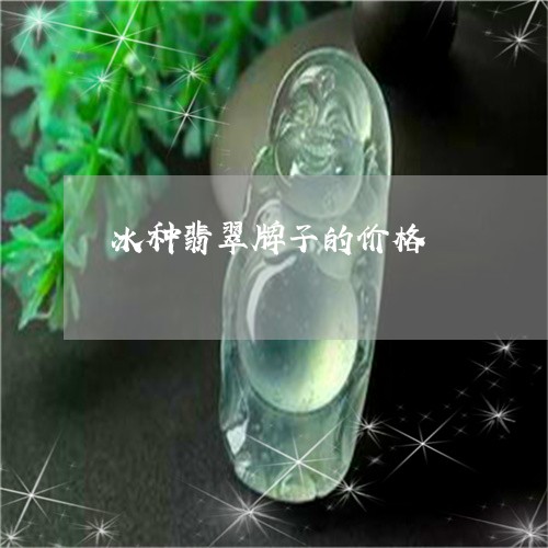 冰种翡翠牌子的价格/2023033096050