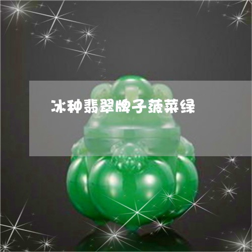 冰种翡翠牌子菠菜绿/2023121908150