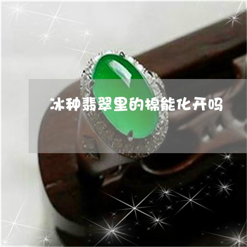 冰种翡翠里的棉能化开吗/2023111668360