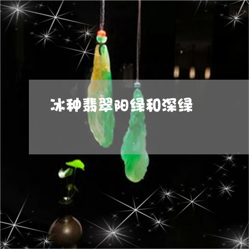 冰种翡翠阳绿和深绿/2023122051703