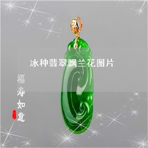 冰种翡翠飘兰花图片/2023033008362