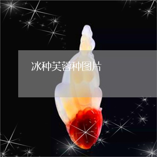 冰种芙蓉种图片/2023062683614