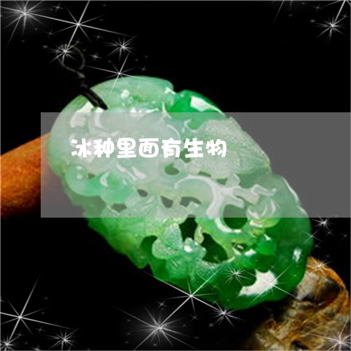 冰种里面有生物/2023062607153