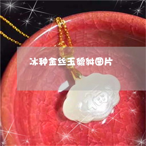 冰种金丝玉貔貅图片/2023122072915