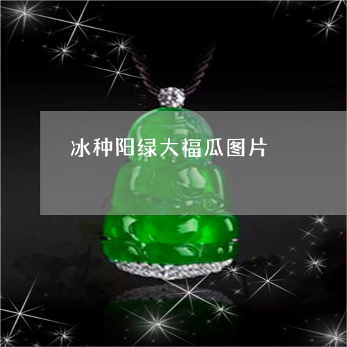 冰种阳绿大福瓜图片/2023122009493