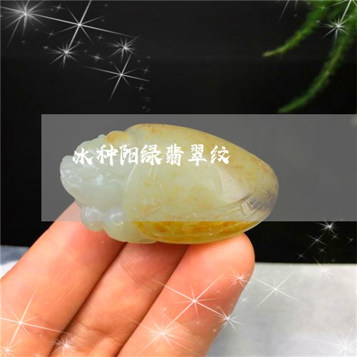 冰种阳绿翡翠纹/2023062639472