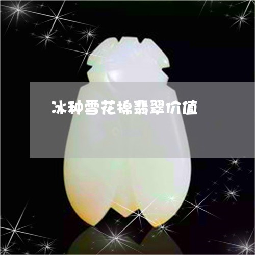 冰种雪花棉翡翠价值/2023033194717