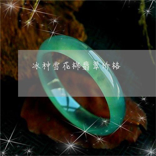 冰种雪花棉翡翠价格/2023033161925