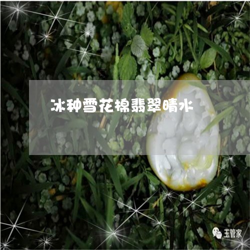 冰种雪花棉翡翠晴水/2023033177059