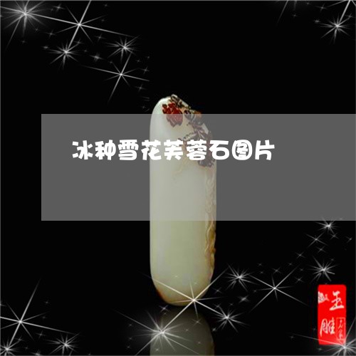 冰种雪花芙蓉石图片/2023033137252