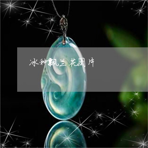 冰种飘兰花图片/2023062668470