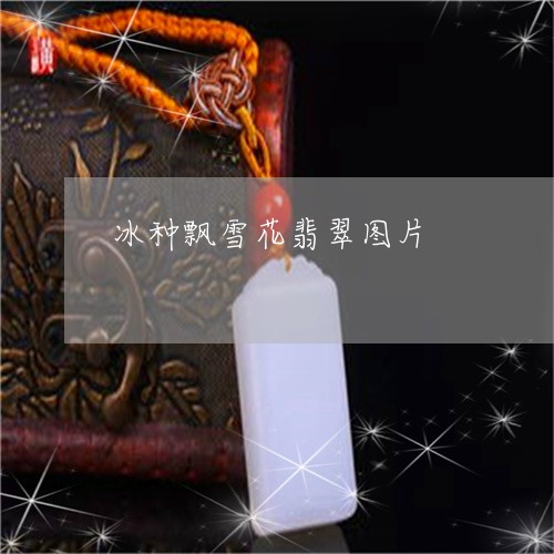 冰种飘雪花翡翠图片/2023033159382