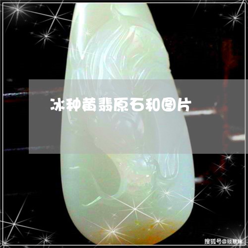 冰种黄翡原石和图片/2023033148350