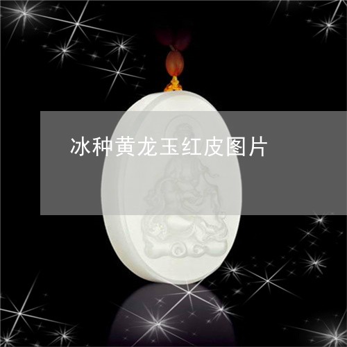 冰种黄龙玉红皮图片/2023033106049