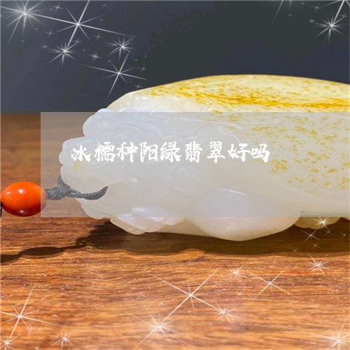 冰糯种阳绿翡翠好吗/2023033170492