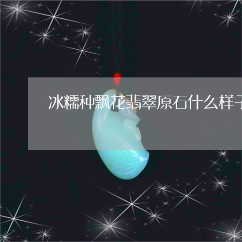 冰糯种飘花翡翠原石什么样子/2023100616279