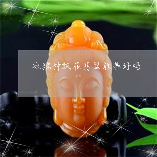 冰糯种飘花翡翠能养好吗/2023070715048