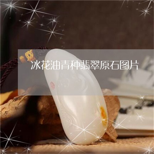 冰花油青种翡翠原石图片/2023070774937