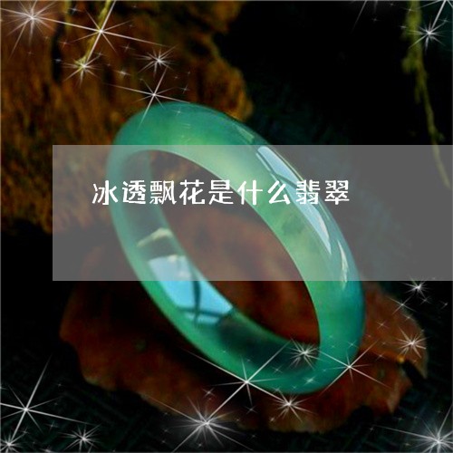 冰透飘花是什么翡翠/2023033181514