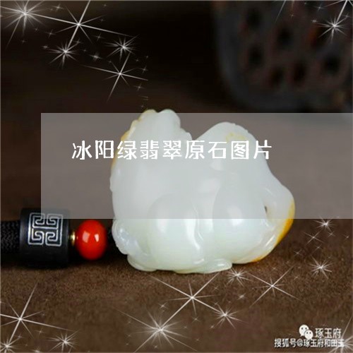 冰阳绿翡翠原石图片/2023033183714