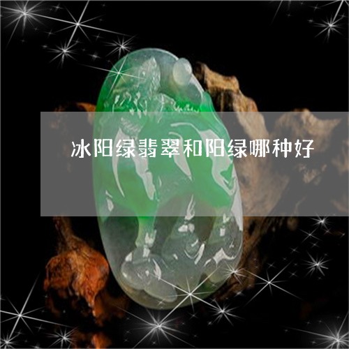 冰阳绿翡翠和阳绿哪种好/2023052659516