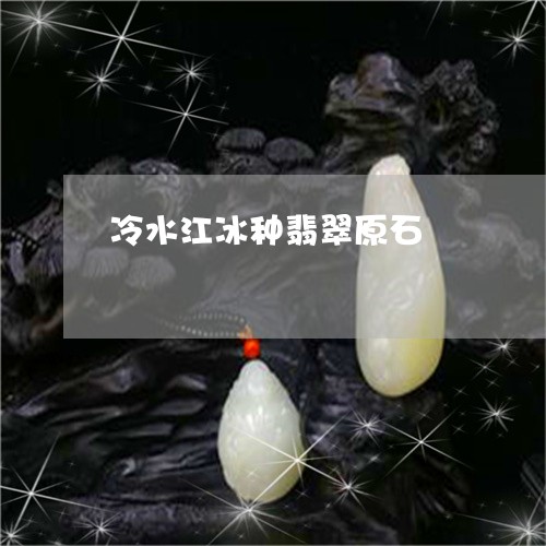 冷水江冰种翡翠原石/2023033026272