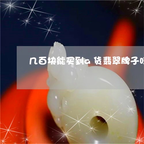 几百块能买到a货翡翠牌子吗/2023100625939