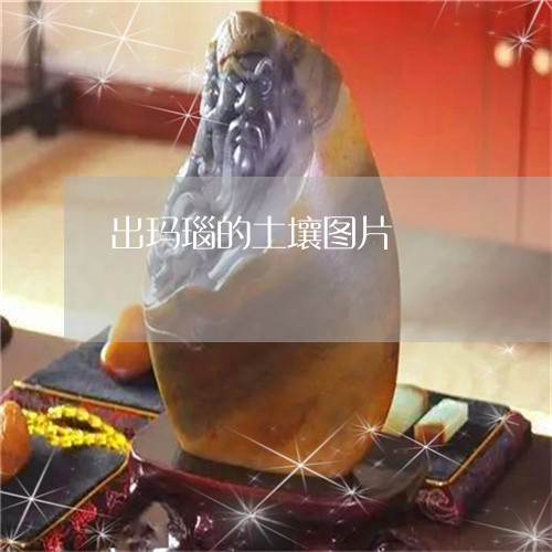 出玛瑙的土壤图片/2023112551502