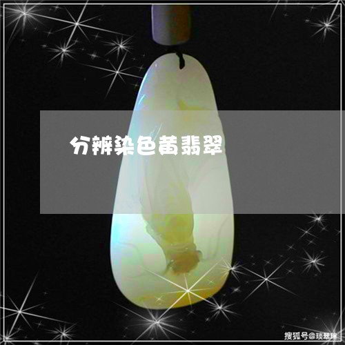 分辨染色黄翡翠/2023062553727