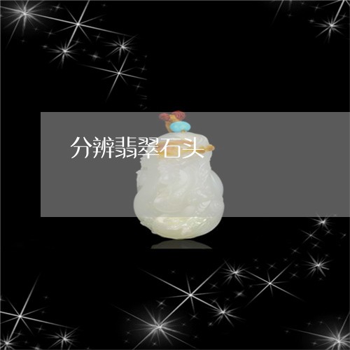 分辨翡翠石头/2023073125020