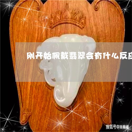 刚开始佩戴翡翠会有什么反应/2023100687471