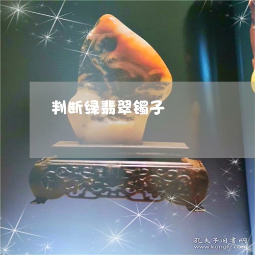 判断绿翡翠镯子/2023062596049