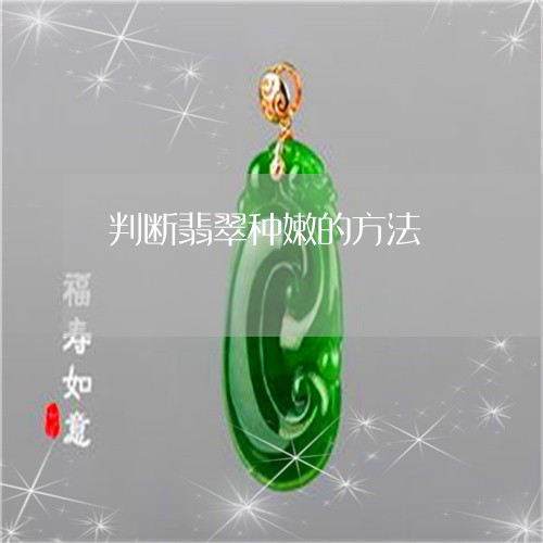 判断翡翠种嫩的方法/2023112430403