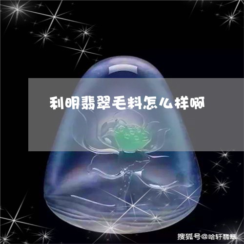 利明翡翠毛料怎么样啊/2023100582716