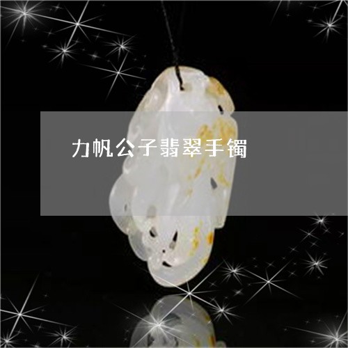 力帆公子翡翠手镯/2023112412916