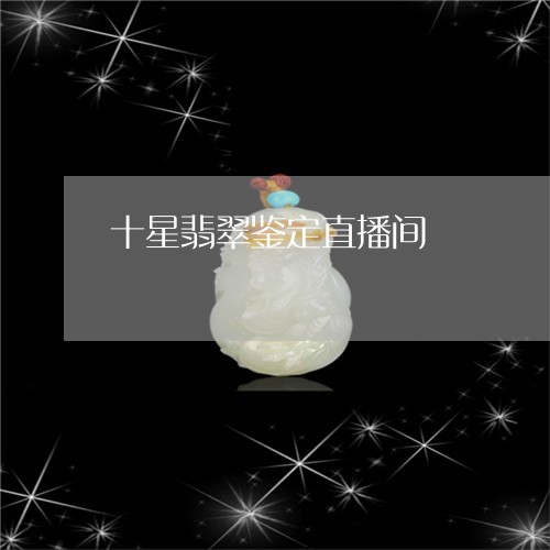 十星翡翠鉴定直播间/2023093034979