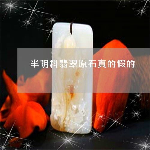 半明料翡翠原石真的假的/2023110863805