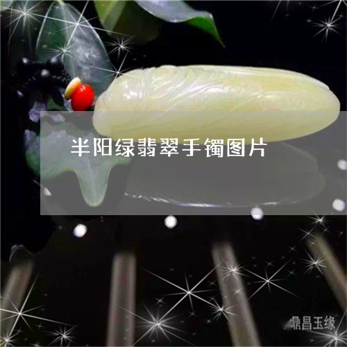 半阳绿翡翠手镯图片/2023121753960