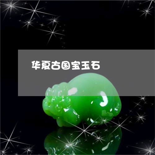 华夏古国宝玉石/2023062503726