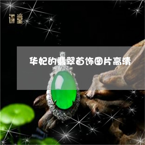 华妃的翡翠首饰图片高清/2023111699360