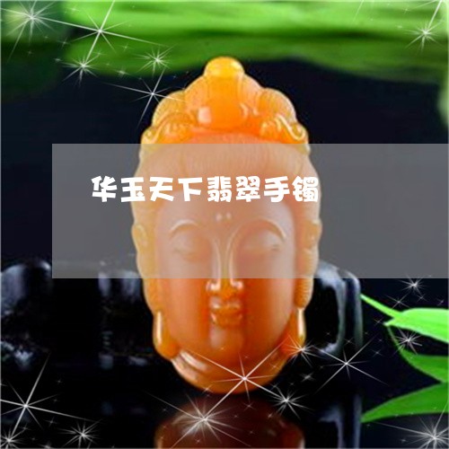 华玉天下翡翠手镯/2023112372513