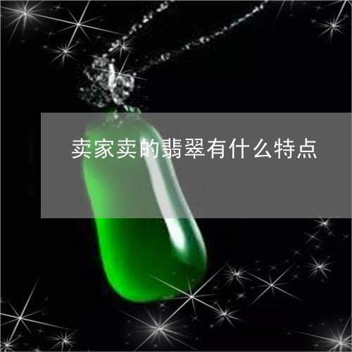 卖家卖的翡翠有什么特点/2023110816940